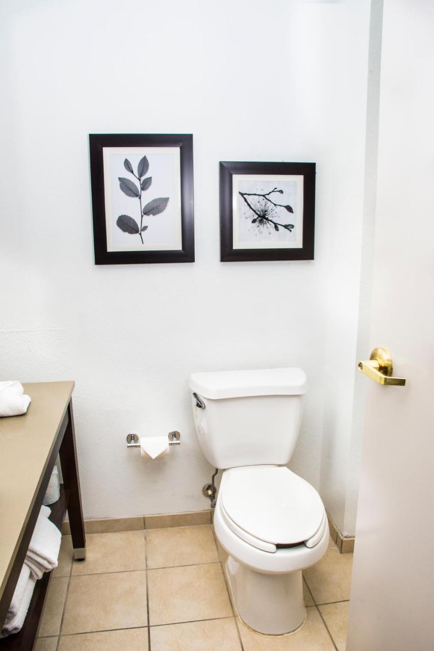 Country Inn & Suites By Radisson, Winchester, Va エクステリア 写真